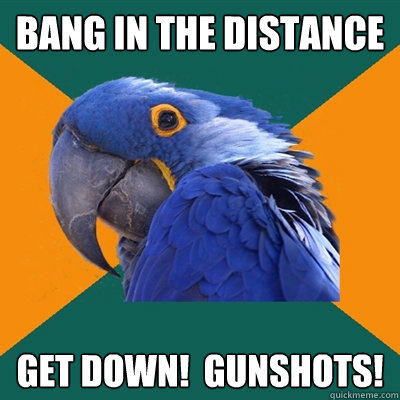 bang in the distance get down gunshots - Paranoid Parrot