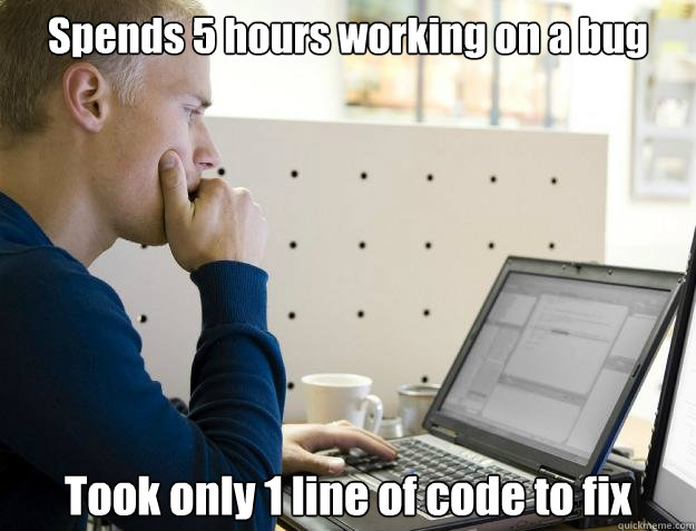 spends 5 hours working on a bug took only 1 line of code to - Programmer