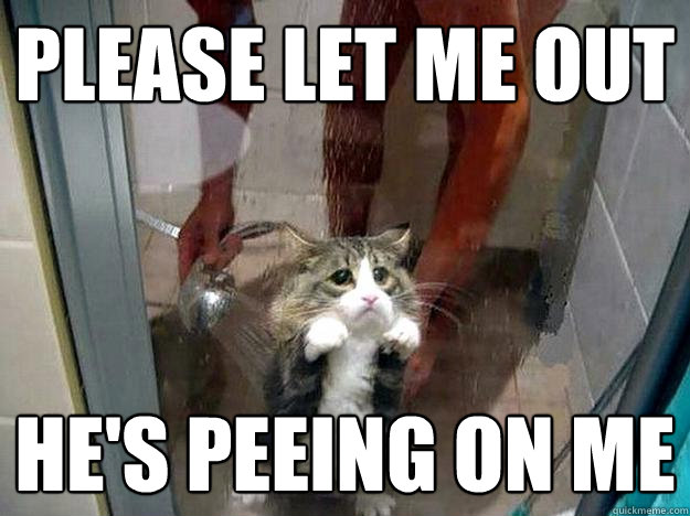 please let me out hes peeing on me - Shower kitty