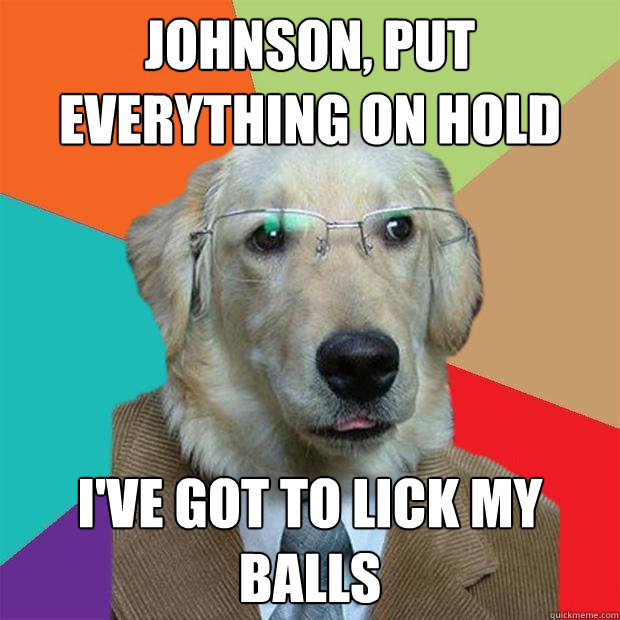 johnson put everything on hold ive got to lick my balls - Business Dog