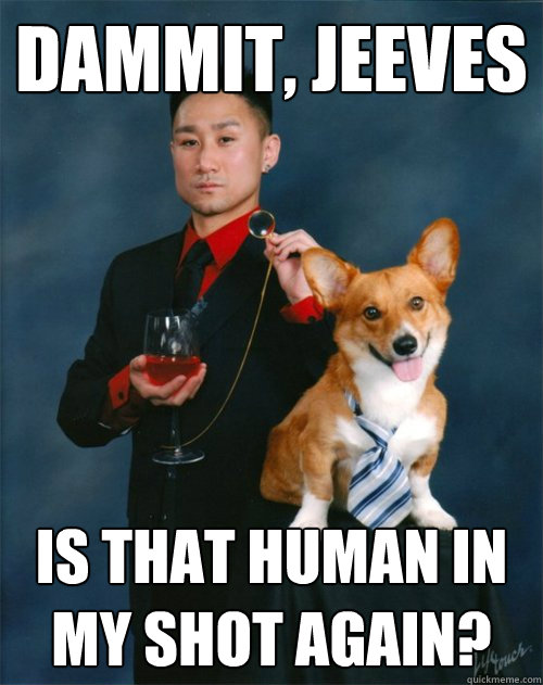 dammit jeeves is that human in my shot again - High Class Corgi