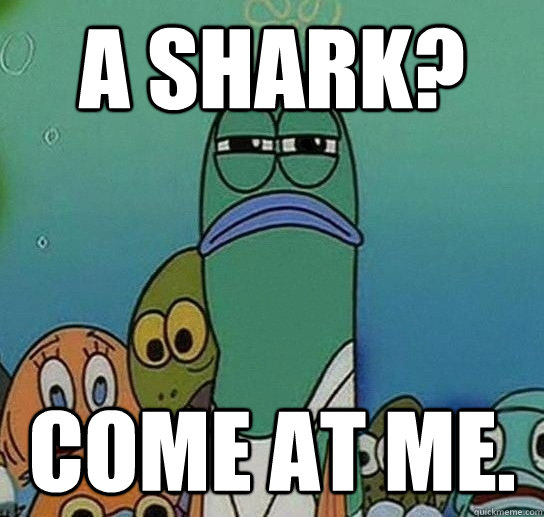 Shark From Spongebob