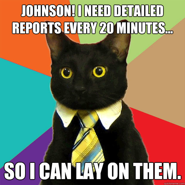 johnson i need detailed reports every 20 minutes so i ca - Business Cat