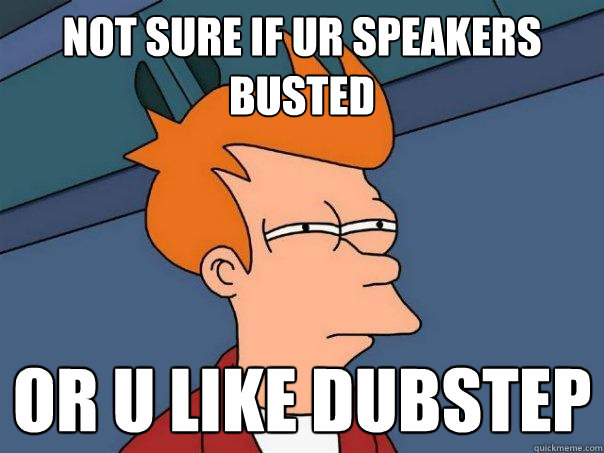 Busted Speakers