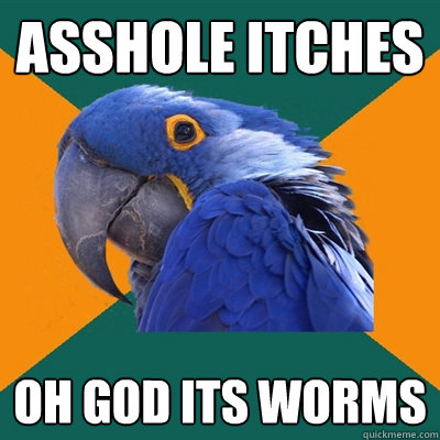 asshole itches oh god its worms - Paranoid Parrot