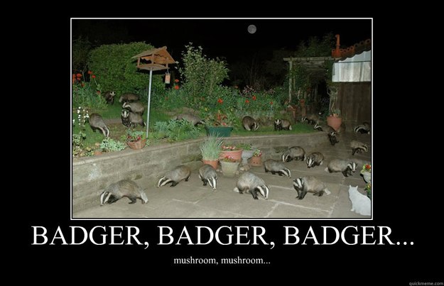 Badger Motivational