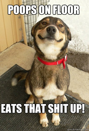 poops on floor eats that shit up - Good Dog Greg