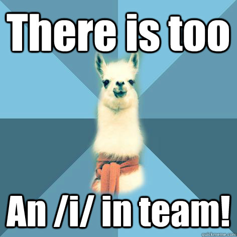 Team Llama