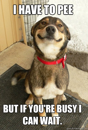 i have to pee but if youre busy i can wait - Good Dog Greg