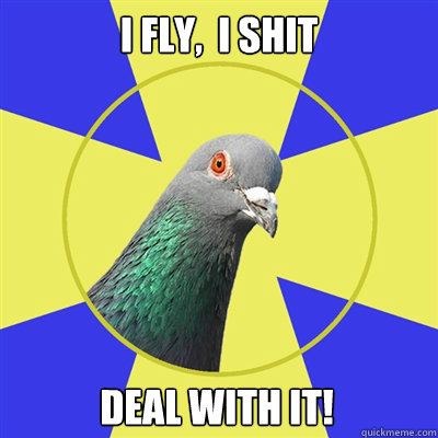 i fly i shit deal with it - Religion Pigeon