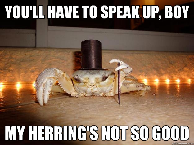 youll have to speak up boy my herrings not so good - Fancy Crab