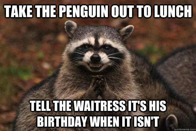 take the penguin out to lunch tell the waitress its his bir - Evil Plotting Raccoon