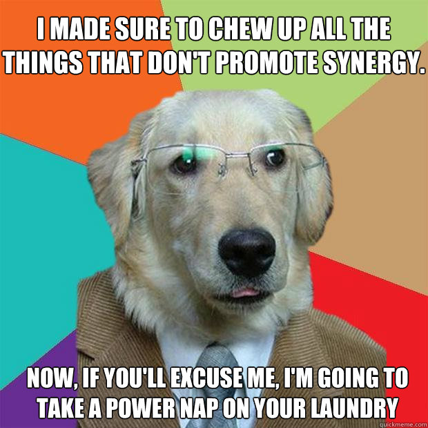 i made sure to chew up all the things that dont promote syn - Business Dog