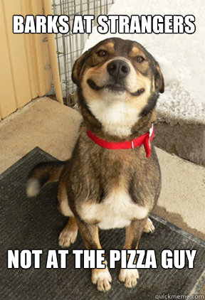 barks at strangers not at the pizza guy - Good Dog Greg