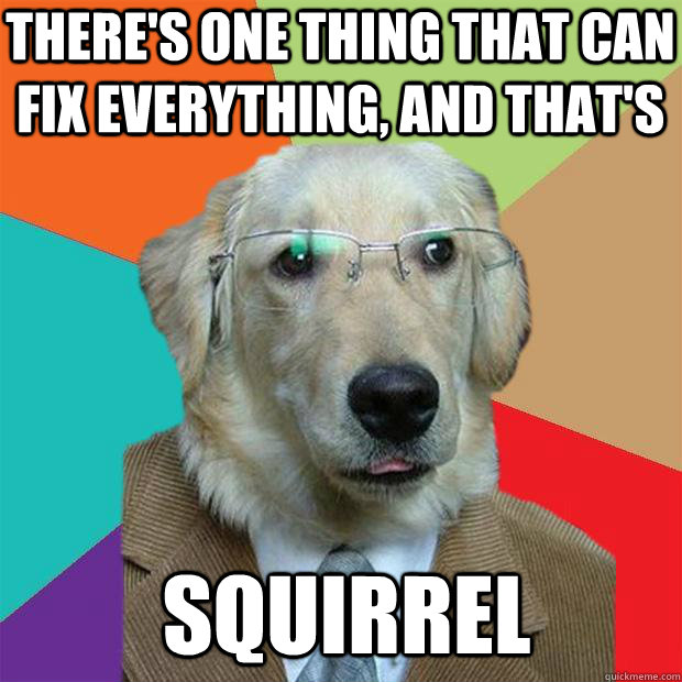 theres one thing that can fix everything and thats squirr - Business Dog
