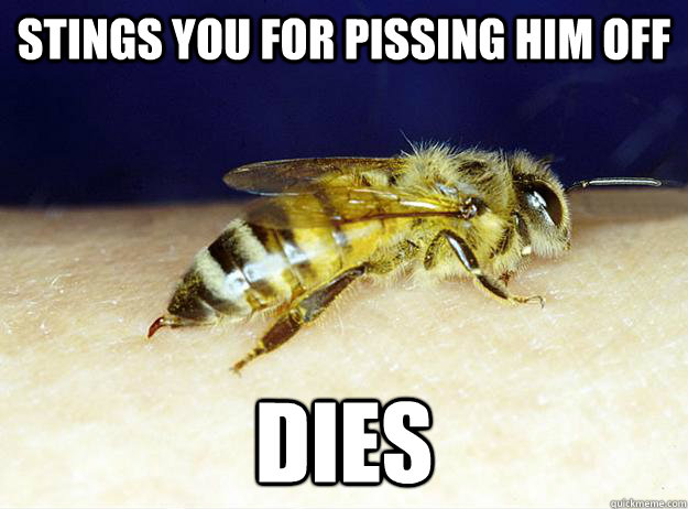 stings you for pissing him off dies - Freshman Bee