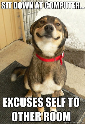 sit down at computer excuses self to other room - Good Dog Greg