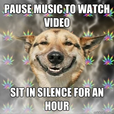 pause music to watch video sit in silence for an hour - Stoner Dog