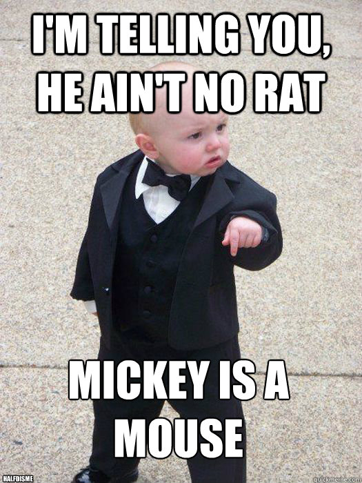 im telling you he aint no rat mickey is a mouse halfdism - Baby Godfather
