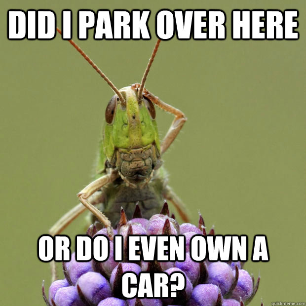 did i park over here or do i even own a car - Confused Grasshopper