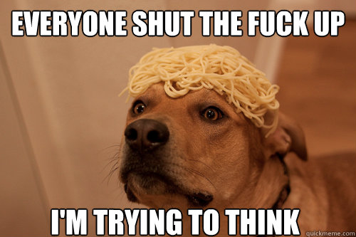 everyone shut the fuck up im trying to think - 10 Dog