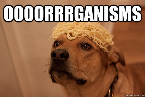 oooorrrganisms - 10 Dog