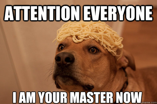 attention everyone i am your master now - 10 Dog