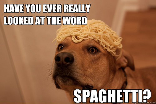 have you ever really looked at the word spaghetti - 10 Dog