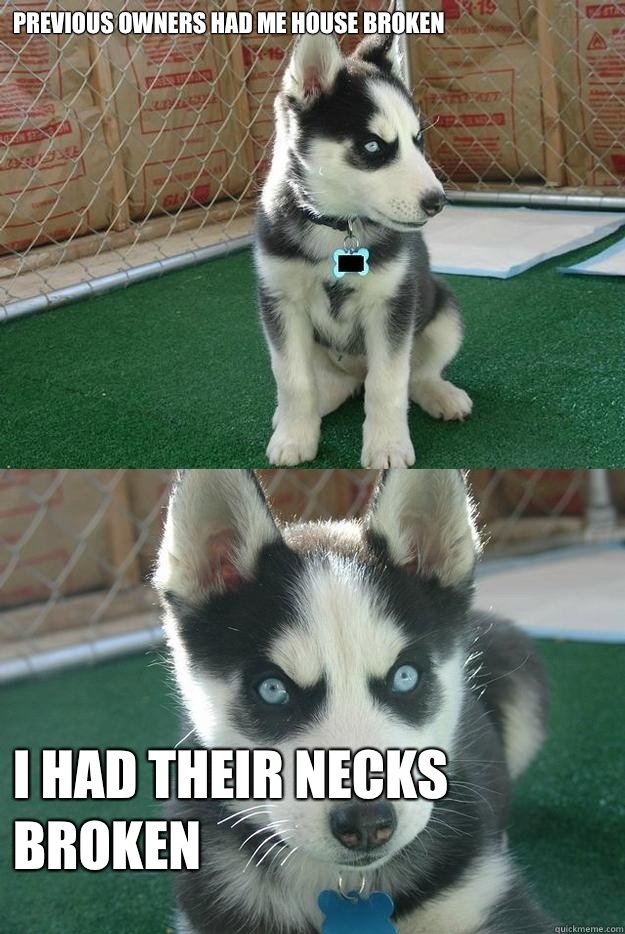 Previous owners had me house broken I had their necks broken - Insanity puppy