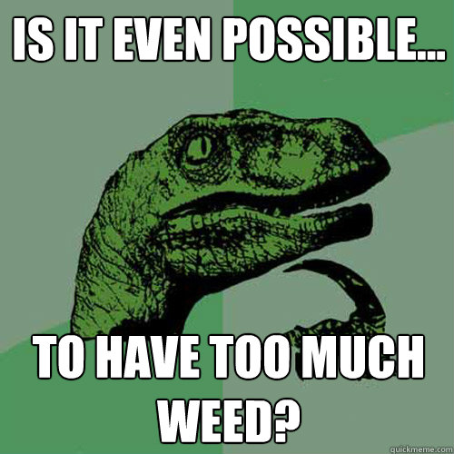 is it even possible to have too much weed - Philosoraptor