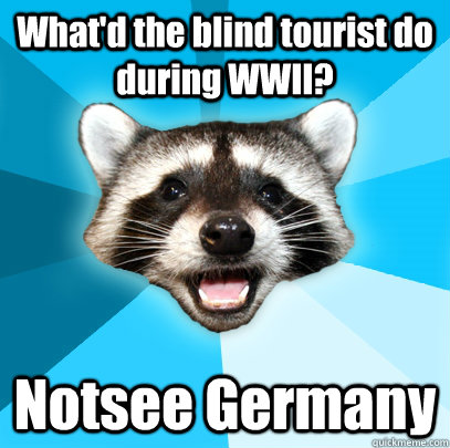 whatd the blind tourist do during wwii notsee germany - Lame Pun Coon