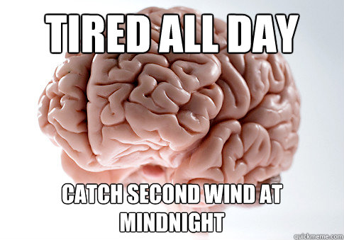 tired all day catch second wind at mindnight - Scumbag Brain