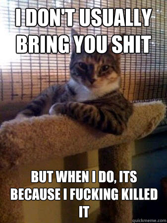 i dont usually bring you shit but when i do its because i - The Most Interesting Cat in the World