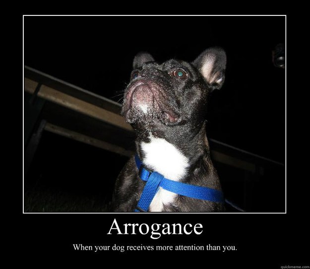 Arrogance Motivational Poster