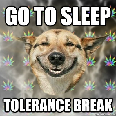 go to sleep tolerance break - Stoner Dog