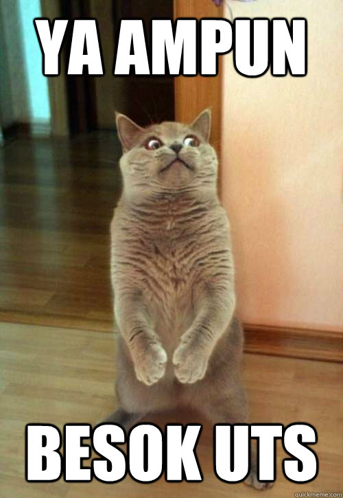 ya ampun besok uts - Horrorcat