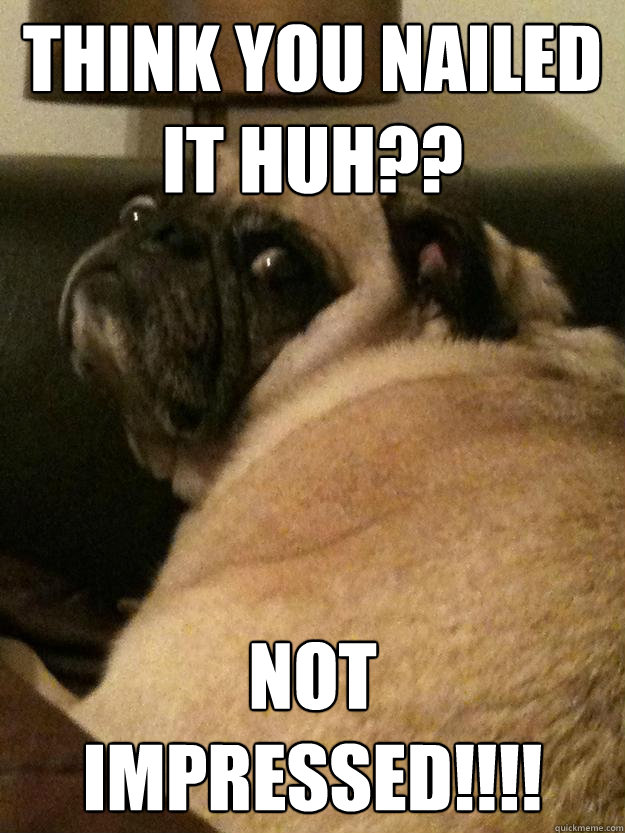 think you nailed it huh not impressed - Unimpressed Pug Not Impressed