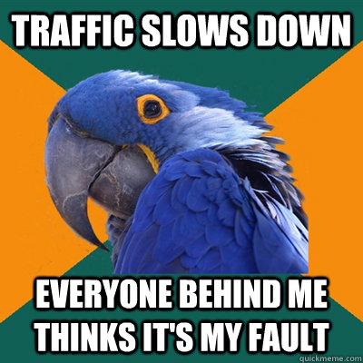 traffic slows down everyone behind me thinks its my fault - Paranoid Parrot