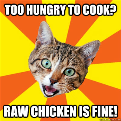 too hungry to cook raw chicken is fine - Bad Advice Cat