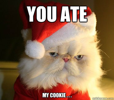 cookie cat ate meme memes quickmeme own eated