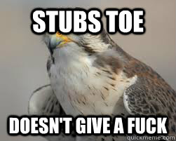stubs toe doesnt give a fuck - Fearless Falcon