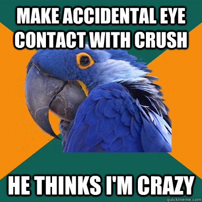 make accidental eye contact with crush he thinks im crazy - Paranoid Parrot