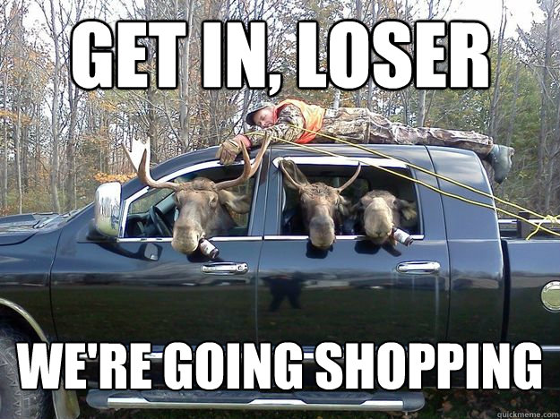 get in loser were going shopping - GET IN THE CAR