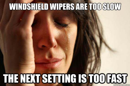 windshield wipers are too slow the next setting is too fast - First World Problems