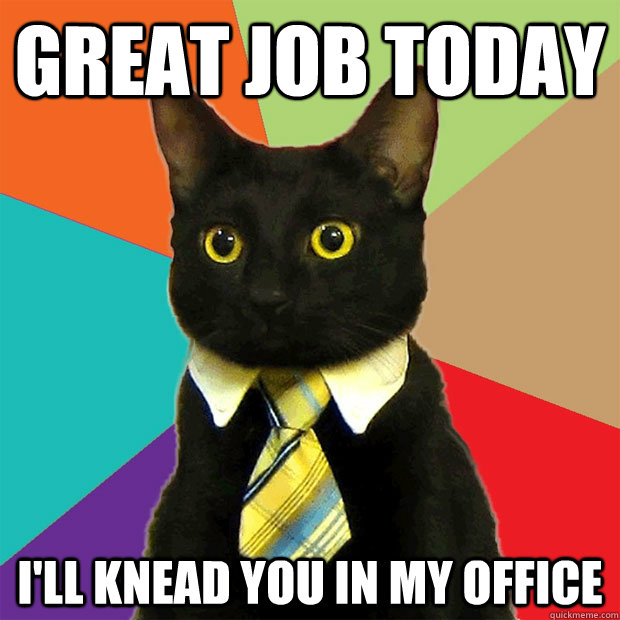 great job today ill knead you in my office - Business Cat