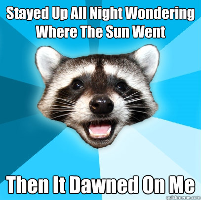 stayed up all night wondering where the sun went then it daw - Lame Pun Coon