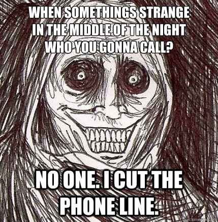 when somethings strange in the middle of the night who you g - Horrifying Houseguest