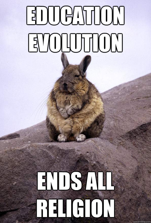 education evolution ends all religion - Wise Wondering Viscacha
