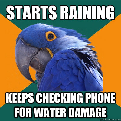 starts raining keeps checking phone for water damage - Paranoid Parrot
