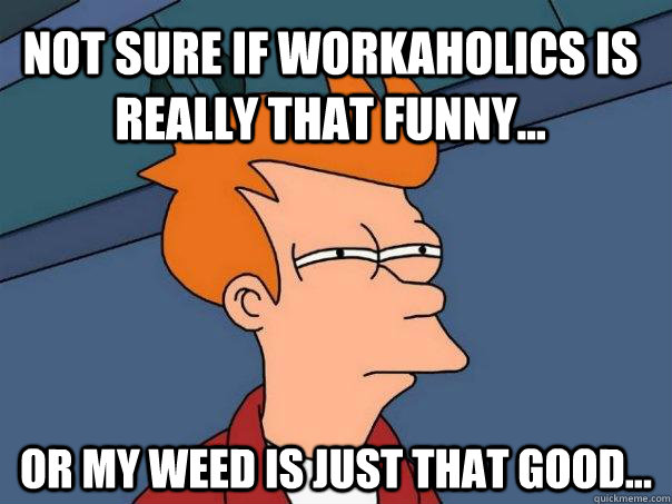 not sure if workaholics is really that funny or my weed i - Futurama Fry